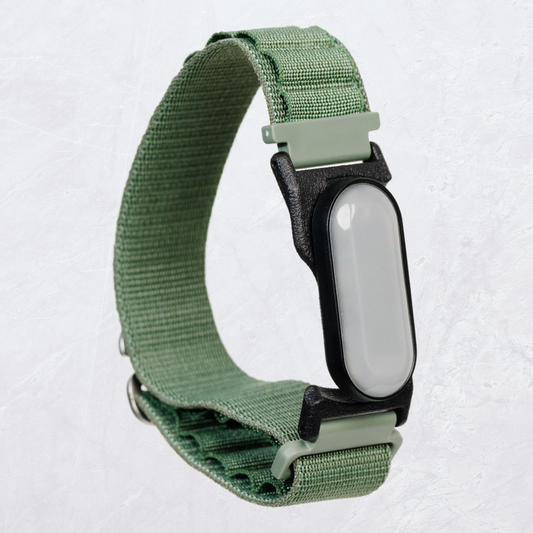 Adventure Armband